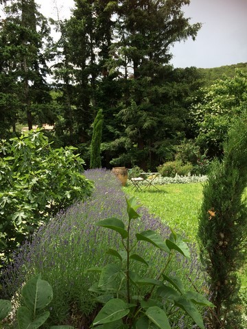 Jardin