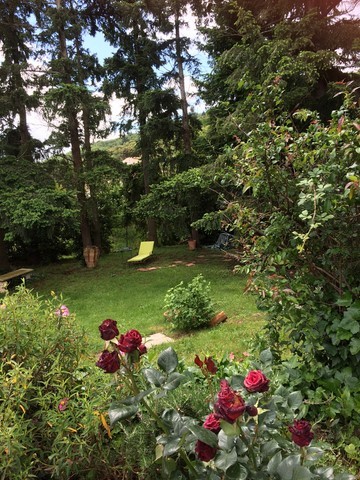 Jardin